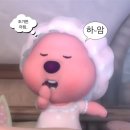 8월 짭생 - 경북 태생 성인 여성들의 서울 합숙 (2) / 해방촌 맛집, 해방촌 카페, 코크피자, 서촌 그랑...