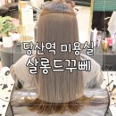 씨유(CU)당산센트럴아이파크점 | 당산역 미용실 살롱드꾸뻬2호점(아이파크점) 클리닉 후기 with 승미쌤