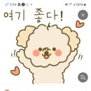 금산반계탕 이미지