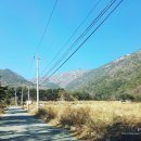 새구봉천 이미지