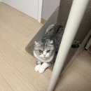 행복야식 - 중랑구 면목로 381 | 행복야식