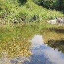 토지농원민박 이미지