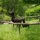 천보산자연휴양림 이미지