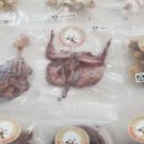 뚱이하우스 이미지