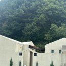 도도독펜션