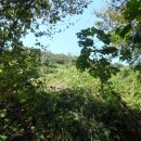 회성동102 이미지