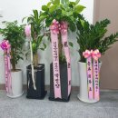 (주)라움건축 이미지