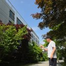 카페 그대로 | 카페 감성 그대로 담은 에코윌 플라스틱컵 후기