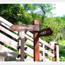 무룡고개 이미지