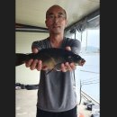 성호낚시터 이미지