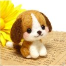펠트 이미지