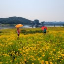 구미강정 이미지