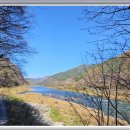 평창영월정선축협 임계지점 이미지