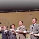 선화동 8-1 주차장 앞 이미지