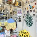 오늘은 특별하개 이미지