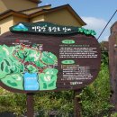 어답산청정민박 티스토리