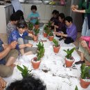 하계경로당 이미지