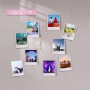 도리토리 이미지