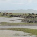 천둥축산 이미지