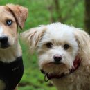 행정사사무소 설빛 이미지