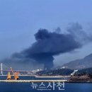 유독 이미지