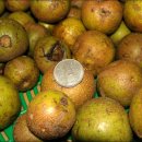 산곡농장 이미지