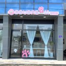 뚜드림 안동점 | [강아지 수제간식] 안동 뚜드림 / 원데이클래스 / 첫 수제간식 만들기 후기