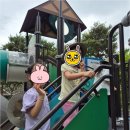 비비창의어린이집 | 비비창의어린이집이 선사하는 대전변동어린이집의 따뜻한 보육 환경의 비밀