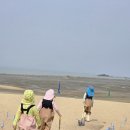 풀사이드펜션