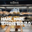 빵갤러리아 | 하레하레 대전갤러리아점 방문 후기, 대전 빵 맛집 인정 !