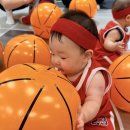 오감발달통합놀이 6-12개월 A | 양주 이마트 문화센터 | 애기똥풀 2026 여름학기 7개월 아기 수업 후기 및 정보