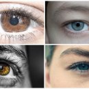 e-좋은안경콘택트 이미지