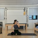 라디 필라테스 | [내돈내산/후기] 아늑해서 매일 가고싶은 양재 필라테스 디 아티스트리 'Pilates The Artistry'