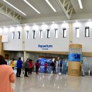 제주해양과학관 (아쿠아플라넷) 이미지