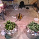 상상력임대사업소 이미지