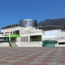 하동야생차 박물관 이미지