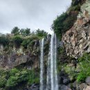 유채꽃길에 머문시간 이미지