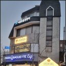 오이드킨(OIDKIN) 이미지