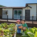 호기농장 이미지