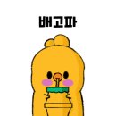 삐돌이네 이미지