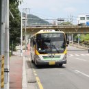 신천(25305) 네이버블로그