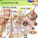 병원에서 검진 후 백내장 수술을 하자고 날짜를 잡자고 하는데 이미지