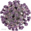 화백경로당 이미지