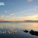 [1박2일] 1800년대부터 해왔다는 전남함평의 해수찜질 이미지