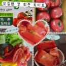 토마토2 | 퇴촌농부오길환 완숙 찰 퇴촌 토마토 2kg 솔직후기, 당일수확 산지직송이라 다르네요?!