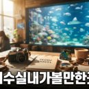 삼사리민박 | 영덕 박대추민박 촌캉스 가기 전 팩트체크와 이용 꿀팁