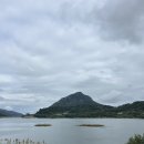 로우풀 | 합천카페 로우풀 솔직후기｜합천댐 뷰맛집 핑크카페 + 양파베이글