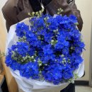 하나로꽃집 | 여의도꽃집 젠더리빌 꽃다발 블루 델피늄 L사이즈 제작 후기 영등포꽃집 마포구꽃집