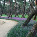 경주시립도서관 화장실 이미지