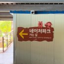 태형매점 | 대구 가창 가볼만한 곳 추천! 백사자 루카·루나를 만날 수 있는 “네이처파크”후기 🦁🌿
